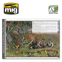 LANDSCAPES OF WAR. THE GREATEST GUIDE VOL. 2 - DIORAMAS   ENGLISH